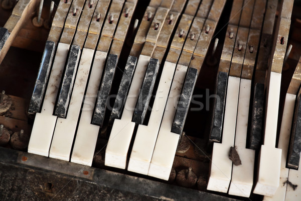 Entrega O Jogo Do Piano Ao Ler Folhas De Música Foto de Stock - Imagem de  chaves, executor: 113132772