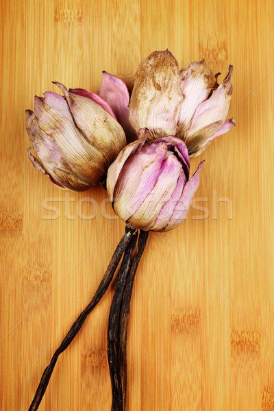 Dead pink lotus Stock photo © leungchopan