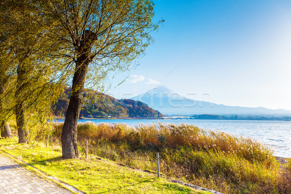 Stockfoto: Fuji · meer · tuin · berg · rivier · plant