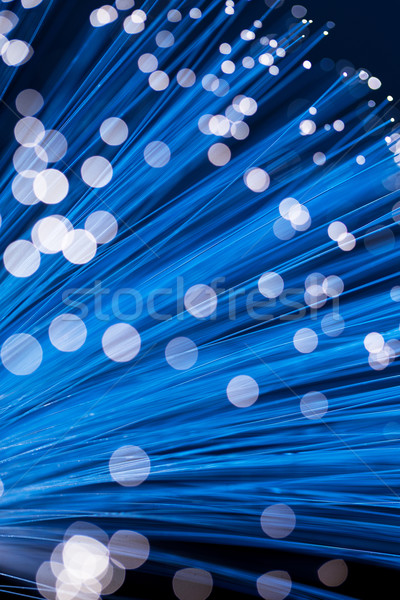 Bunch of optical fibres Stock photo © leungchopan