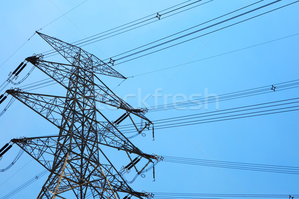Powerline under blue sky Stock photo © leungchopan