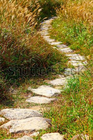 Dağ yol çim manzara alan yeşil Stok fotoğraf © leungchopan