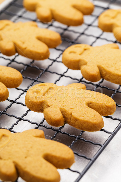 Baked gingerbread cookies close up Stock photo © leungchopan