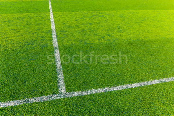 Zöld tőzeg sport aréna textúra fű Stock fotó © leungchopan