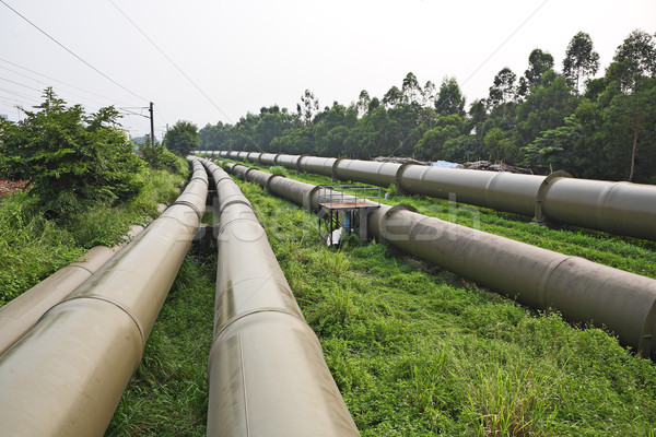 Industriellen Pipeline Gras Technologie Bereich Männer Stock foto © leungchopan