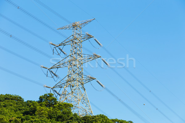 Putere distribuire turn munte reţea plantă Imagine de stoc © leungchopan