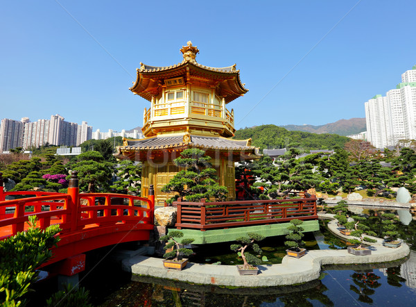 Złota chińczyk ogród wody krajobraz most Zdjęcia stock © leungchopan