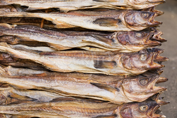 Dry salty fish Stock photo © leungchopan