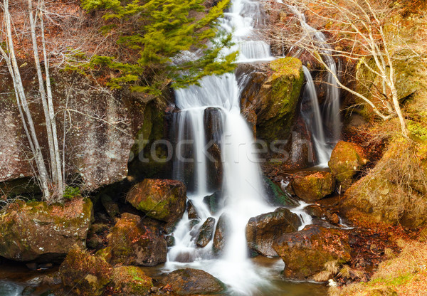 Wodospad lasu wody wiosną krajobraz rock Zdjęcia stock © leungchopan
