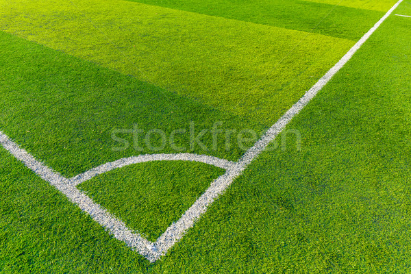 Football court Stock photo © leungchopan