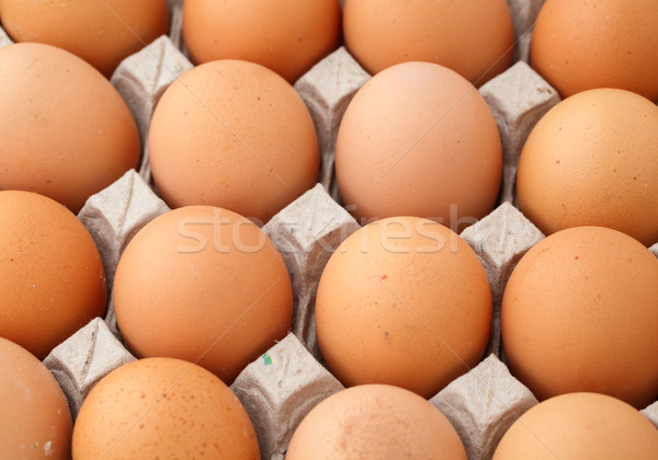 Farm egg in paper container Stock photo © leungchopan