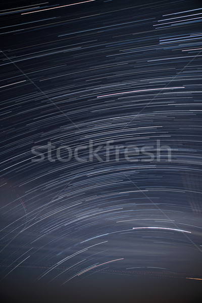 Star trails in the sky Stock photo © leungchopan