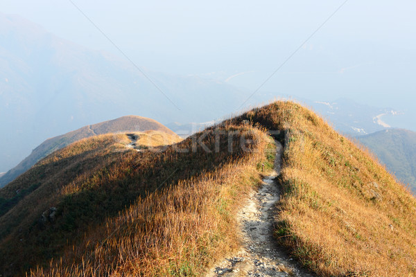 Yol yürüyüş tepe çim manzara dağ Stok fotoğraf © leungchopan
