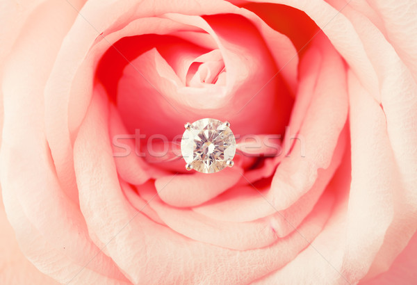 訂婚戒指 粉紅色的玫瑰 女子 石 禮物 環 商業照片 © leungchopan