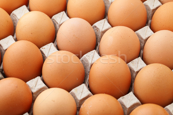 Farm egg in cardboard Stock photo © leungchopan