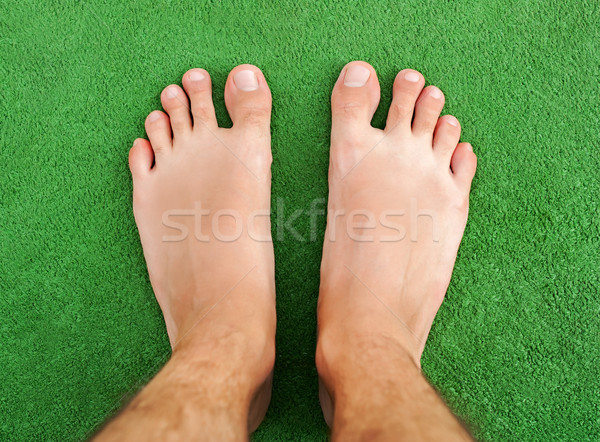 Foot on green grass Stock photo © leventegyori