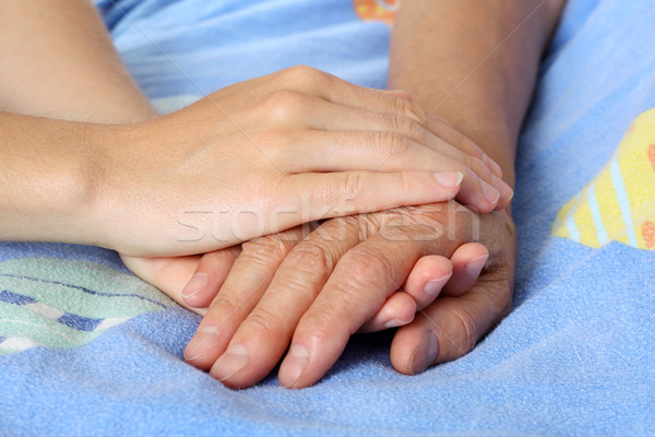 Hand touches and holds an old wrinkled hand Stock photo © leventegyori