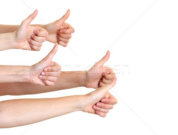 Handen tonen okay business hand lichaam Stockfoto © leventegyori