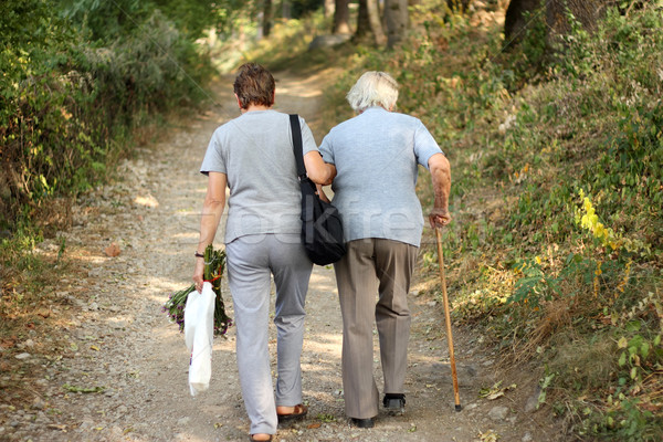Seniors in park Stock photo © leventegyori