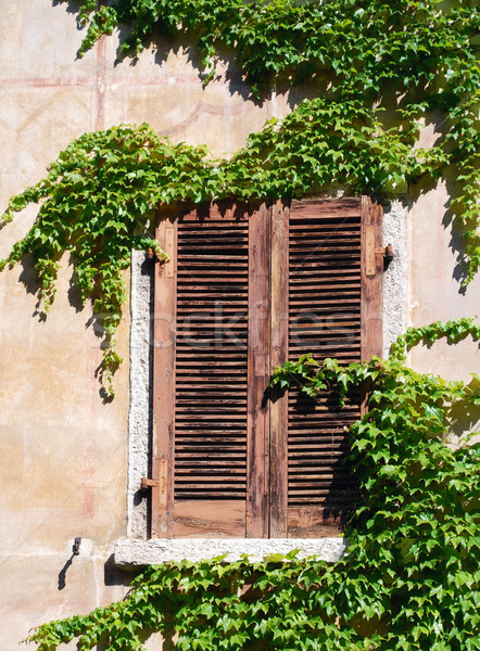 Okno drewna zielone roślin Włochy brązowy Zdjęcia stock © Li-Bro