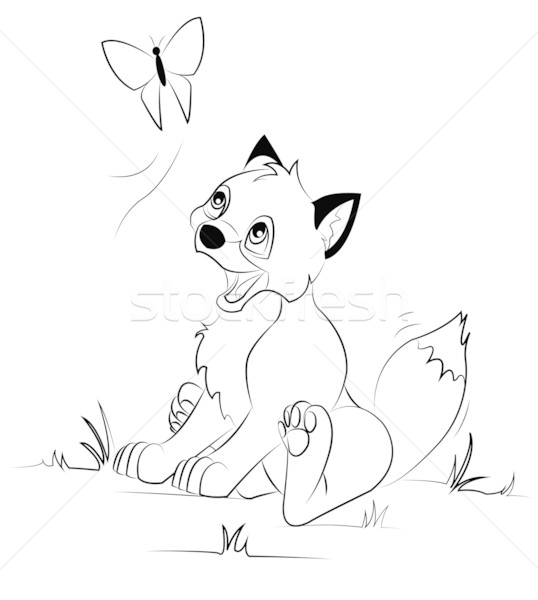 Mały Fox psa Motyl sztuki wilk Zdjęcia stock © Li-Bro