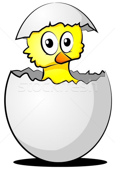 Jaj ptaków kurczaka funny powłoki chick Zdjęcia stock © Li-Bro