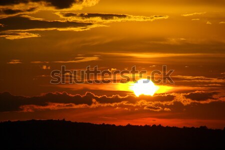 sunset 66 Stock photo © LianeM