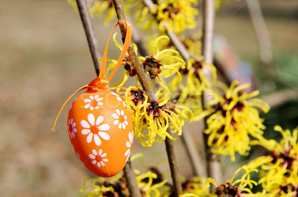 Cserje húsvét idő virág kert tojás Stock fotó © LianeM