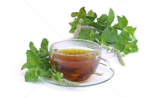 tea Mentha citrata 02 Stock photo © LianeM