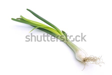 spring onion 01 Stock photo © LianeM
