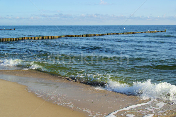 Baltic Sea beach 02 Stock photo © LianeM