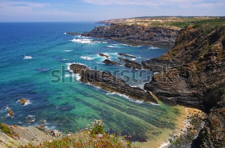 Kust landschap zee oceaan Blauw reizen Stockfoto © LianeM
