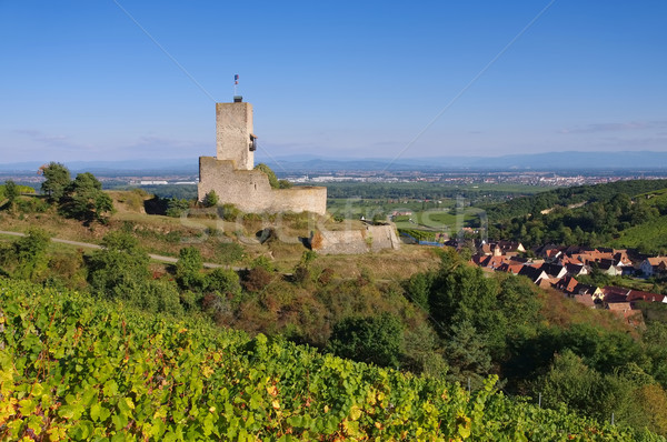 castle Wineck, Katzenthal in Alsace Stock photo © LianeM