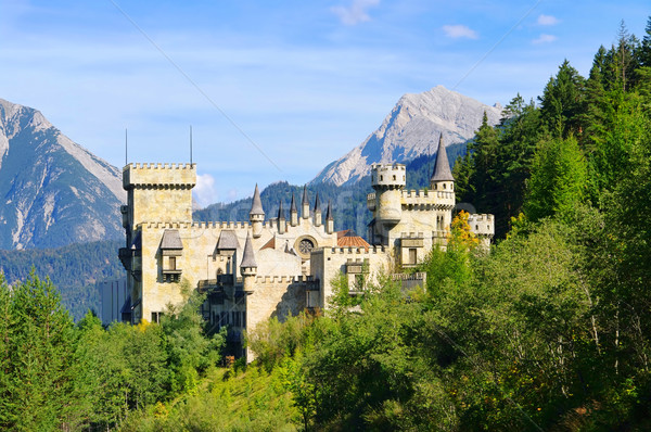 Seefeld castle 04 Stock photo © LianeM