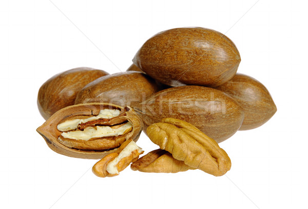 pecan nut 05 Stock photo © LianeM