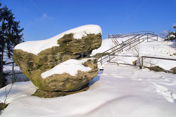 20 forêt paysage neige glace table [[stock_photo]] © LianeM