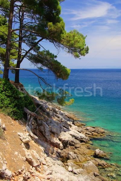 Losinj beach 09 Stock photo © LianeM