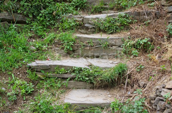 natural stone staircase 01 Stock photo © LianeM