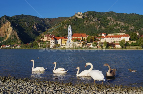 Duernstein with swan  Stock photo © LianeM