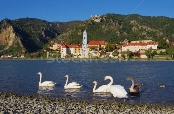 Kuğu ev duvar mavi kale ufuk çizgisi Stok fotoğraf © LianeM