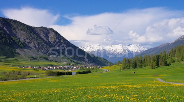 Engadin near St. Moritz  Stock photo © LianeM