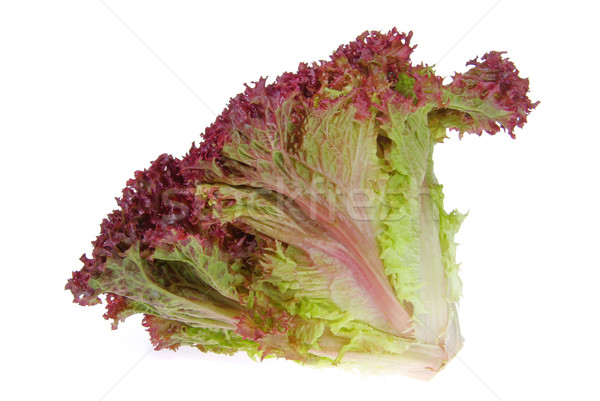 15 yeşil yaprakları salata taze sağlıklı Stok fotoğraf © LianeM