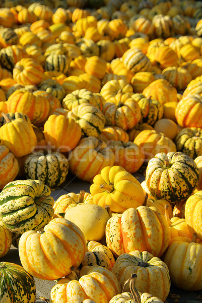 14 fête fond vacances automne [[stock_photo]] © LianeM