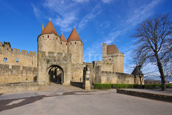 Castle of Carcassonne, France Stock photo © LianeM