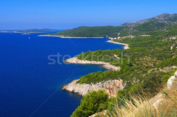 Hvar coast  Stock photo © LianeM