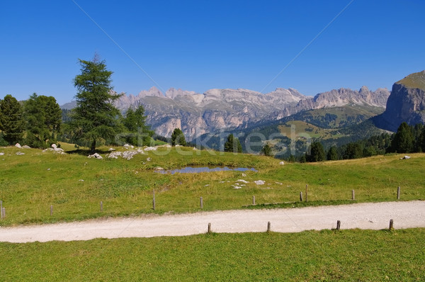 Sella pass in Dolomites Stock photo © LianeM