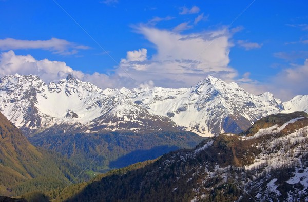 Gamme forêt neige glace Suisse Photo stock © LianeM
