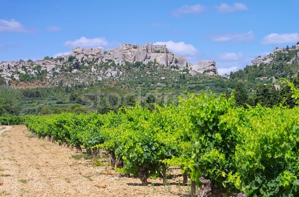 Les Baux-de-Provence 01 Stock photo © LianeM