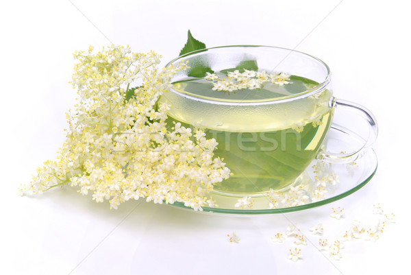 Tè maggiore fiore vetro sfondo verde Foto d'archivio © LianeM