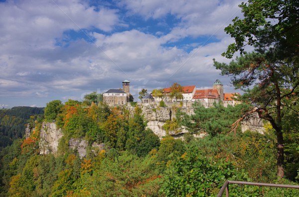 Castel copac pădure perete peisaj biserică Imagine de stoc © LianeM